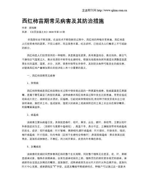 西红柿苗期常见病害及其防治措施