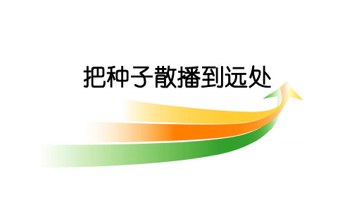 《把种子散播到远处》