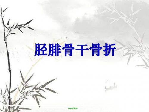 胫腓骨干骨折  ppt课件