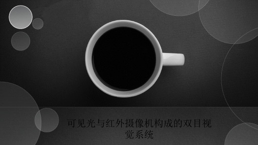 可见光与红外系统