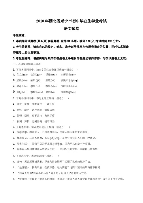 2018年湖北省咸宁市初中中考语文试题(原卷版)