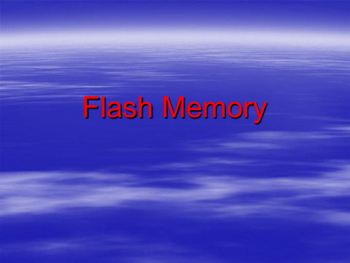 flash_memory讲解