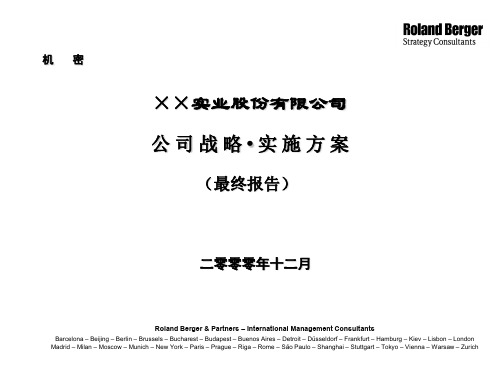 罗兰贝格××实业咨询报告