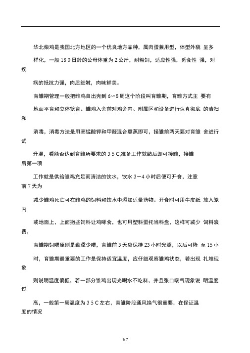华北柴鸡饲养技术