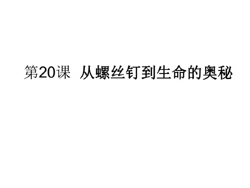 七年级语文从螺丝钉到生命的奥秘