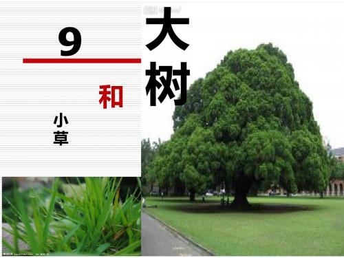 《小草和大树》ppt