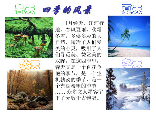 初中语文苏教版七年级上册十五 春