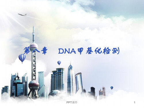 DNA甲基化检测  ppt课件