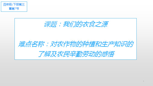 部编版道德与法治四年级下册课件-7 我们的衣食之源