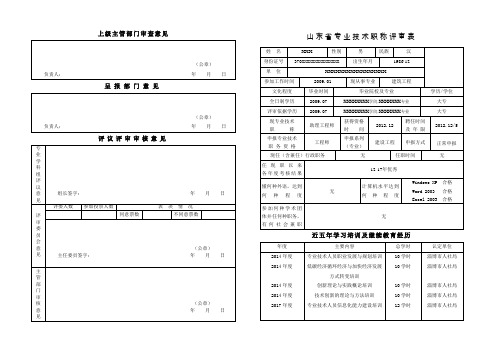 2017版山东省专业技术职称评审表