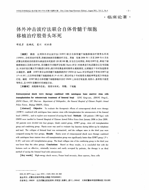 体外冲击波疗法联合自体骨髓干细胞移植治疗股骨头坏死