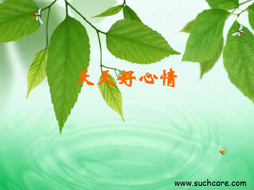 天天好心情_心理健康课课件