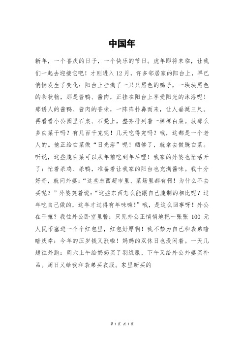 中国年_初一作文
