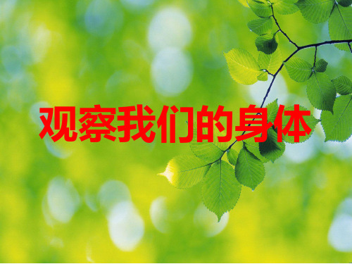 教科版科学二年级下册2.1观察我们的身体PPT课件共12页