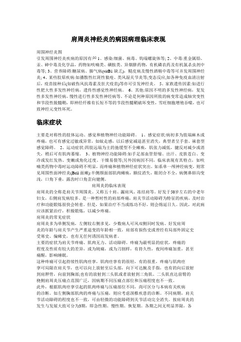 肩周炎神经炎的病因病理临床表现1