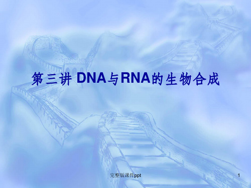 《DNA与RNA生物合成》PPT课件