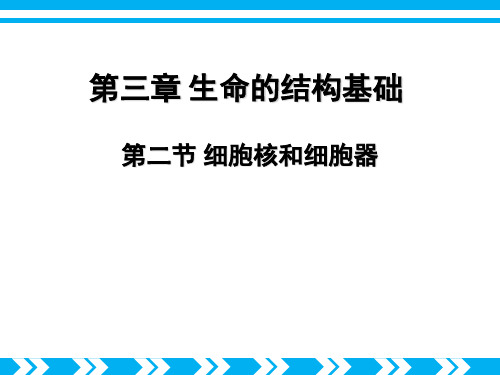 上海师范大学附属中学2016-2017学年沪科版生物第一册3.2《细胞核和细胞器》课件 (共23张PPT)