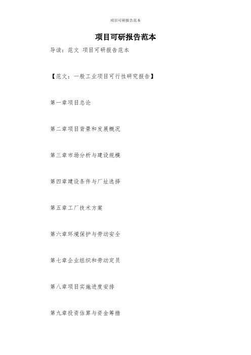 项目可研报告范本