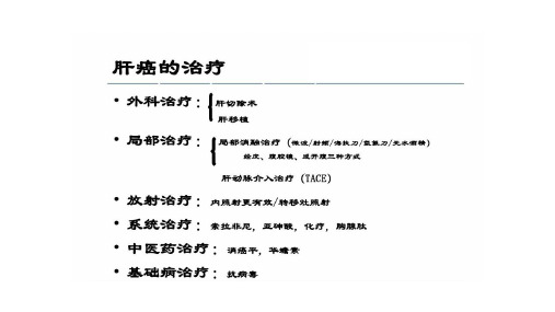 肝动脉栓塞术