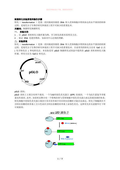 细菌转化实验原理和操作步骤
