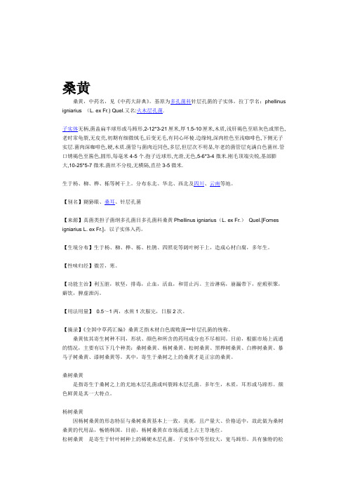 25灵芝命名分类