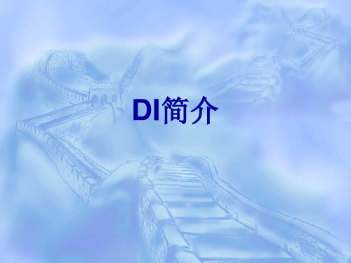 DI简介