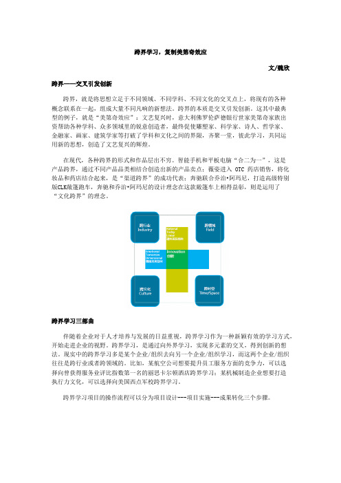 跨界学习,复制美第奇效应
