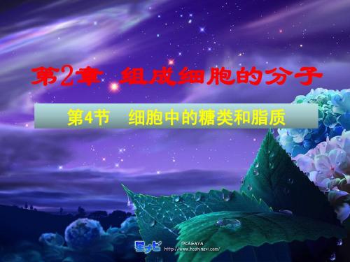 第四节 细胞中的糖类和脂质