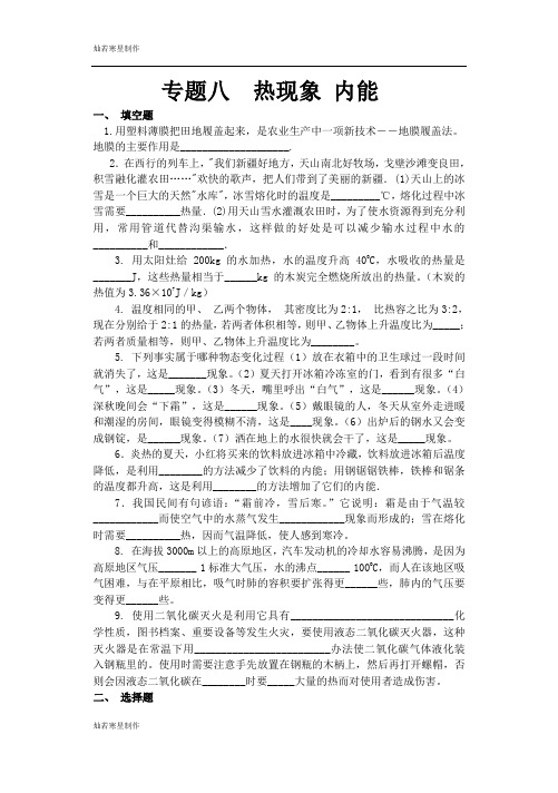 苏科版九年级物理下册专题八热现象内能