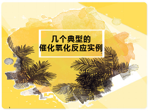 催化作用第八章—几个典型的催化氧化反应实例
