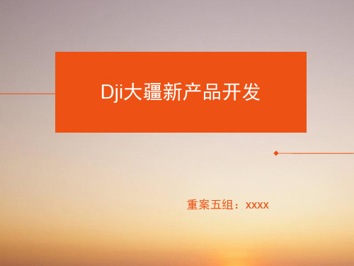 市场营销作业——Dji大疆新产品开发
