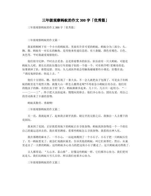 三年级观察蚂蚁的作文300字「优秀篇」