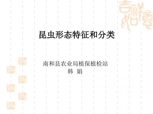 昆虫形态特征和分类