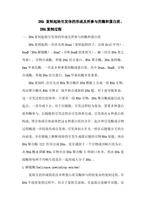 DNA复制、引物、酶及蛋白质