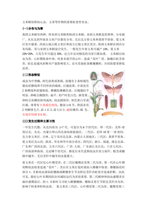 玉米螟