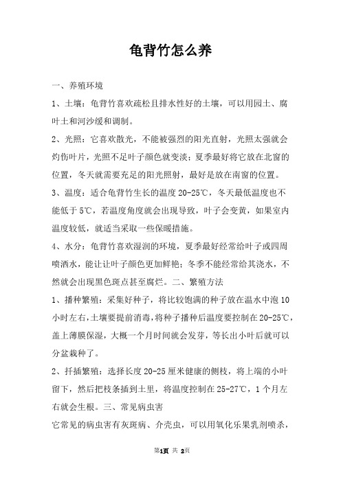 龟背竹怎么养 