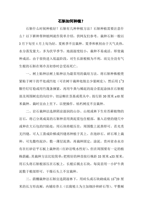 石斛如何种植？