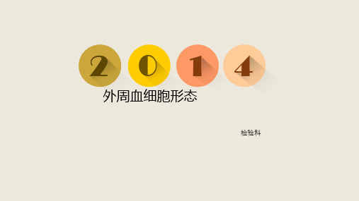 外周血细胞形态