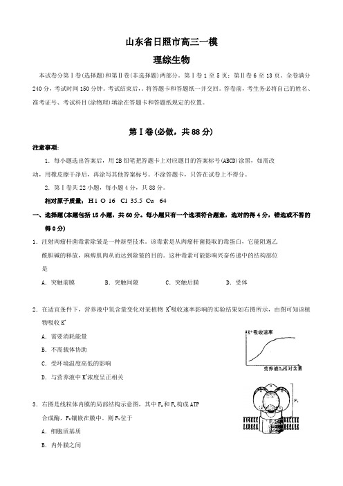 山东省日照市高三一模(理综生物)