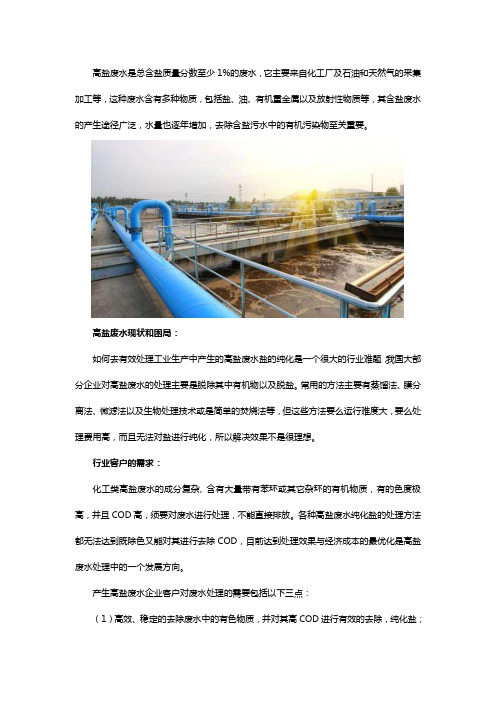 废盐纯化处理研究报告