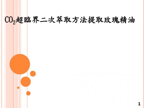 玫瑰花水7超临界二氧化碳萃取