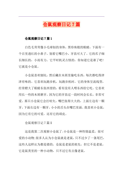 仓鼠观察日记7篇