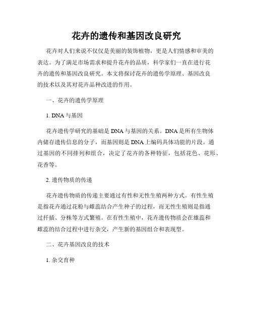 花卉的遗传和基因改良研究