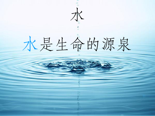 小学科学完整《水》ppt课件