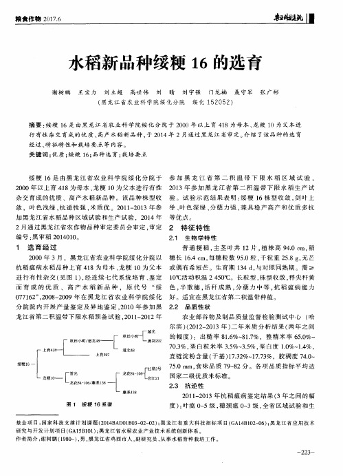 水稻新品种绥粳16的选育