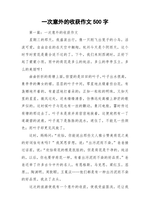 一次意外的收获作文500字_作文