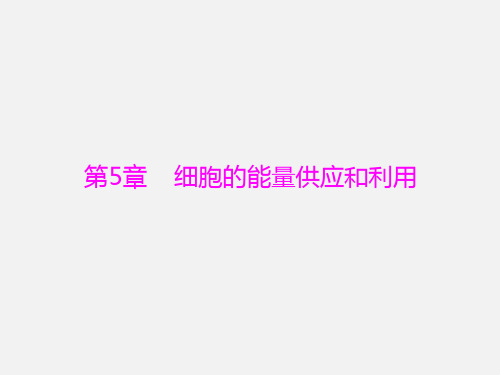 高考生物 一轮复习 第1-2节 降低化学反应活化能的酶、细胞的能量“通货” ATP(必修1)
