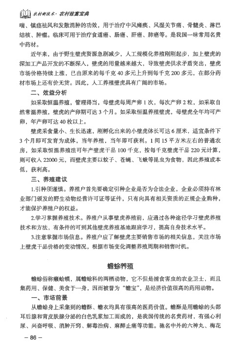 蟾蜍养殖