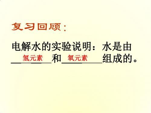 九年级化学(鲁教版上册)教学课件：2.4 元素的课件
