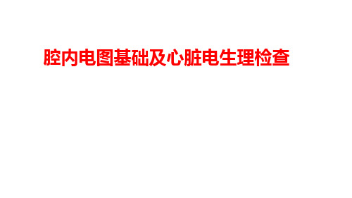 腔内电图基础及心脏电生理检查